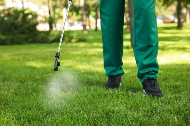 Best Wasp Removal Services  in Winnfield, LA