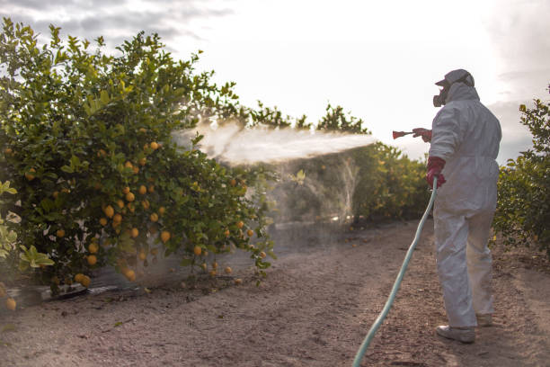 Best Wildlife Control Services  in Winnfield, LA