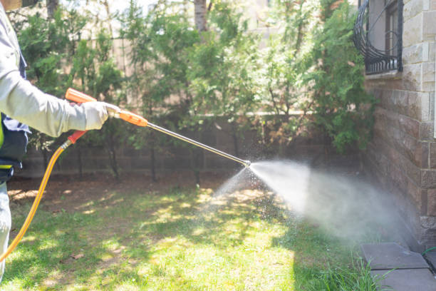 Spider Control Near Me in Winnfield, LA