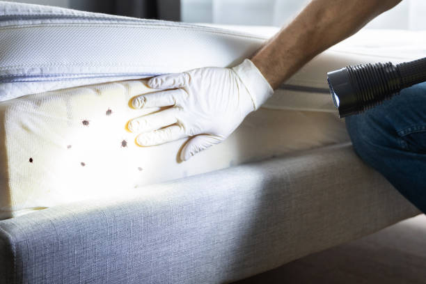 Best Residential Pest Control  in Winnfield, LA
