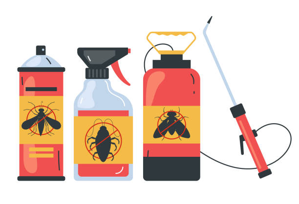 Best Spider Control Near Me  in Winnfield, LA