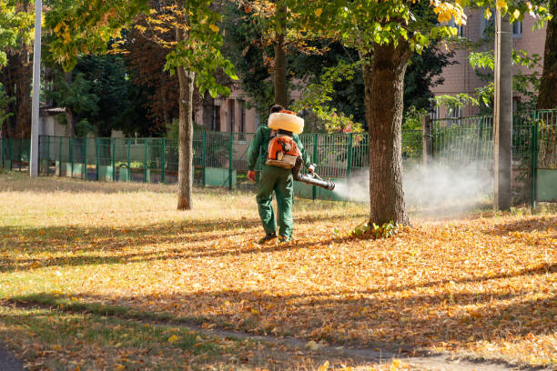 Best Termite Control Services  in Winnfield, LA