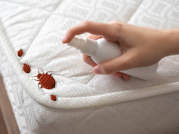 Best Ant Control Services  in Winnfield, LA